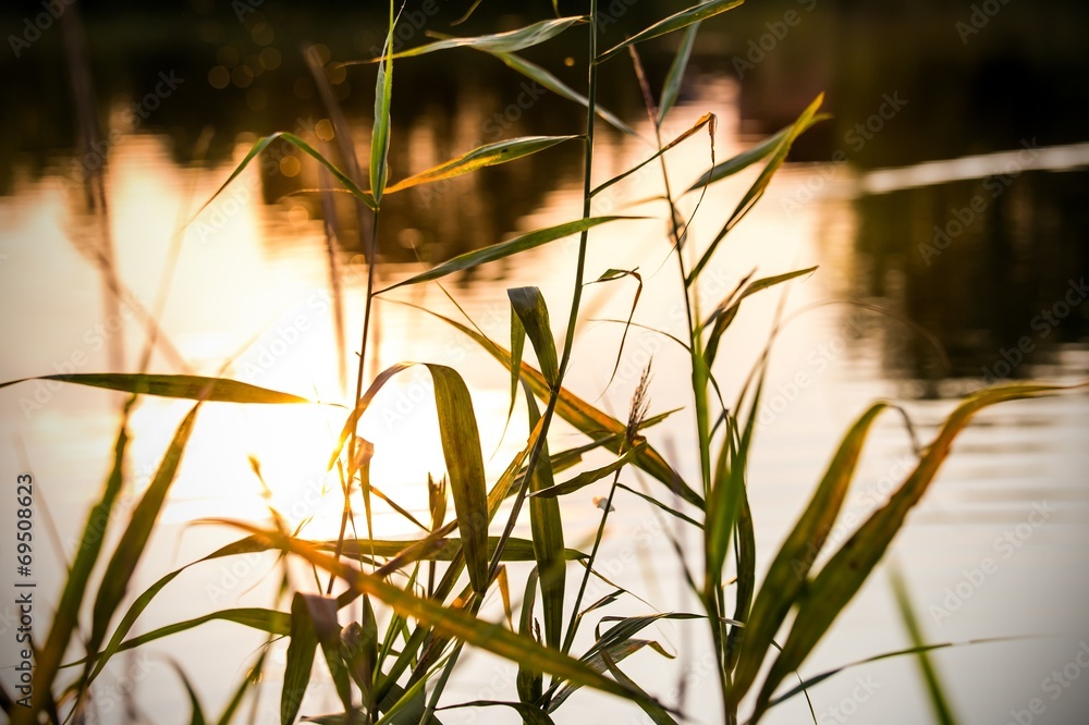 Fototapeta premium Sundown over a pond