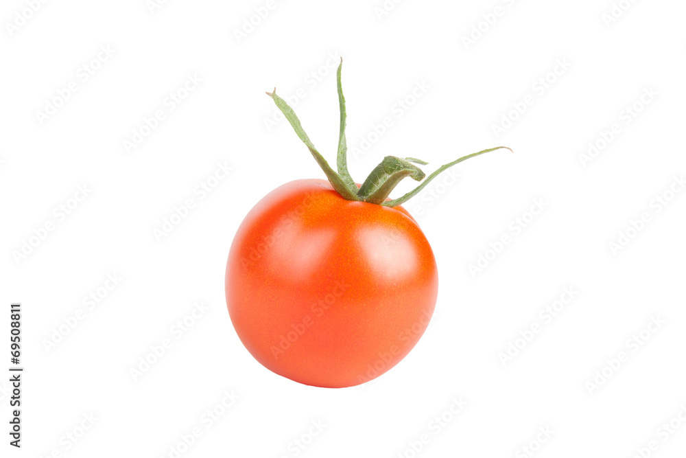 red tomato with a tail isolated on white background red tomato with a tail isolated on white background