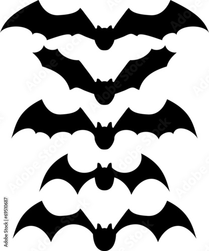 Silhouetten Fledermaeuse
