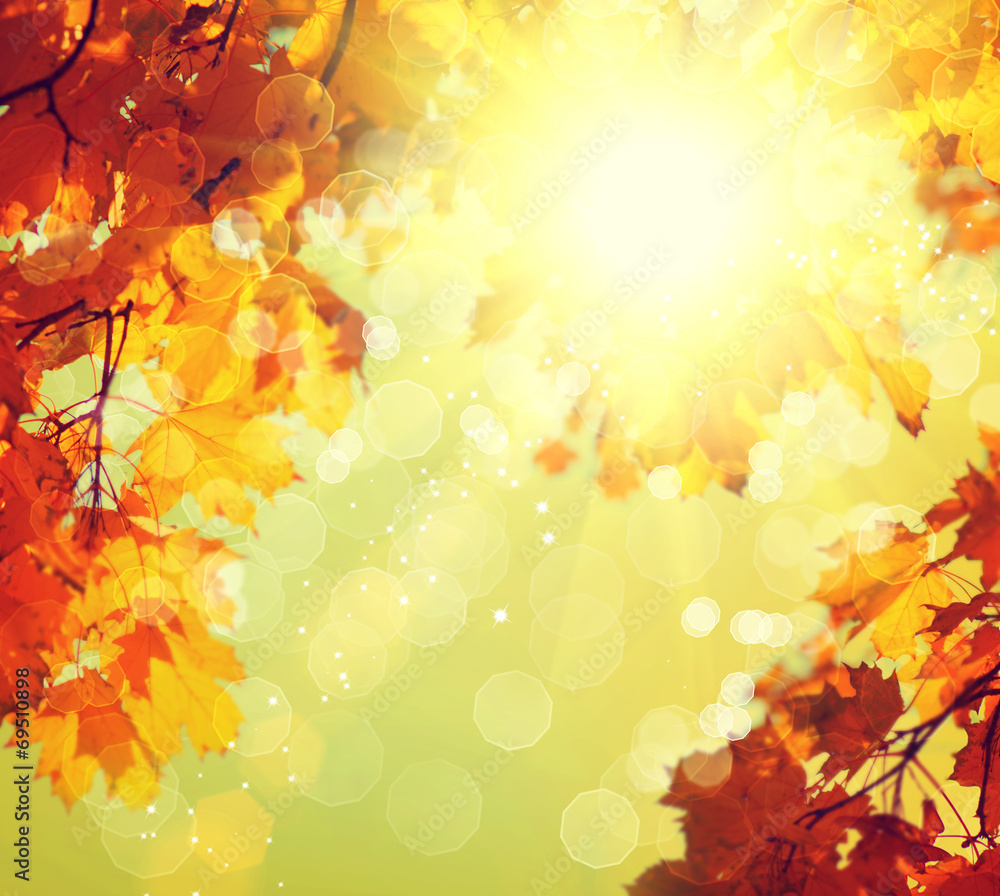 Abstract autumnal background with colorful leaves and sun