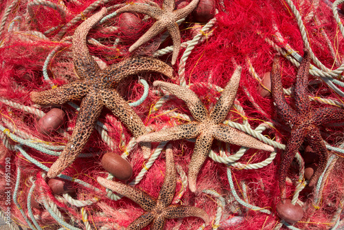 Fishing nets & sea stars