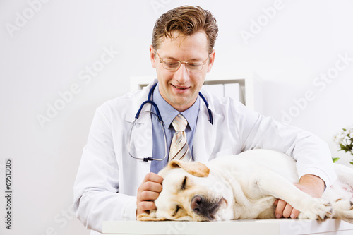 Fototapeta Naklejka Na Ścianę i Meble -  Dog at vet clinic