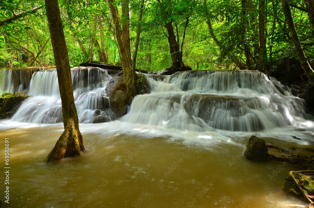 Obraz premium Deep Forest Waterfalls