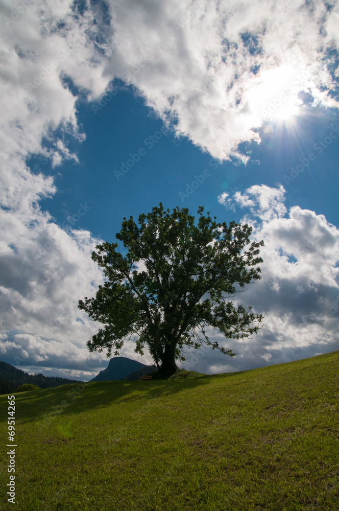 Berge in Österreich