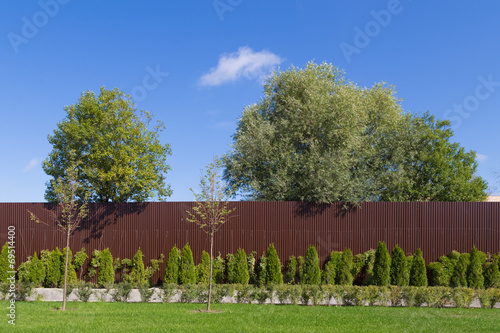 fence lawn sky