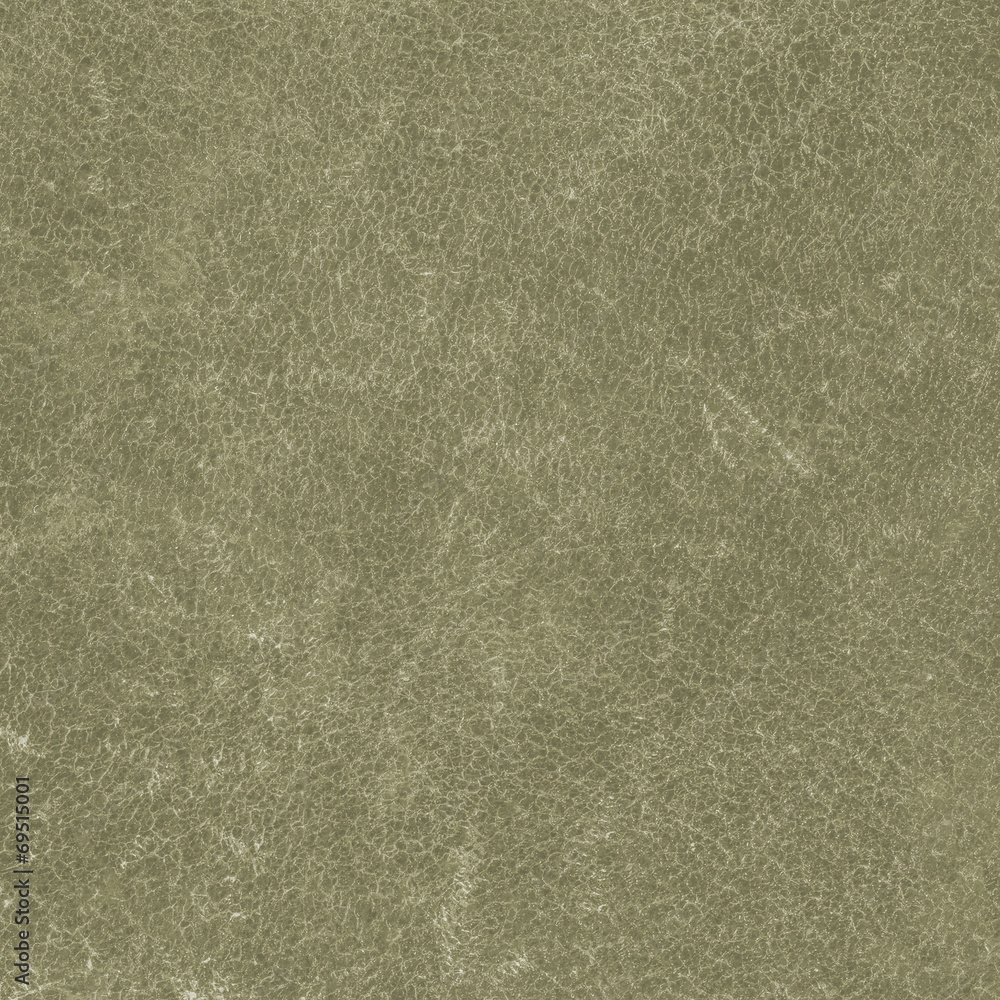 Fototapeta premium gray-green scratched leather texture