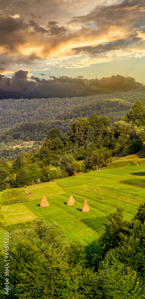 Obraz premium pair of haystacks and tree in mountain at sunset