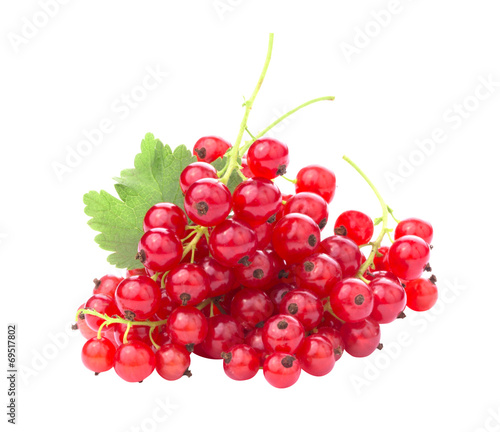 Branch of red currants isolated on white background