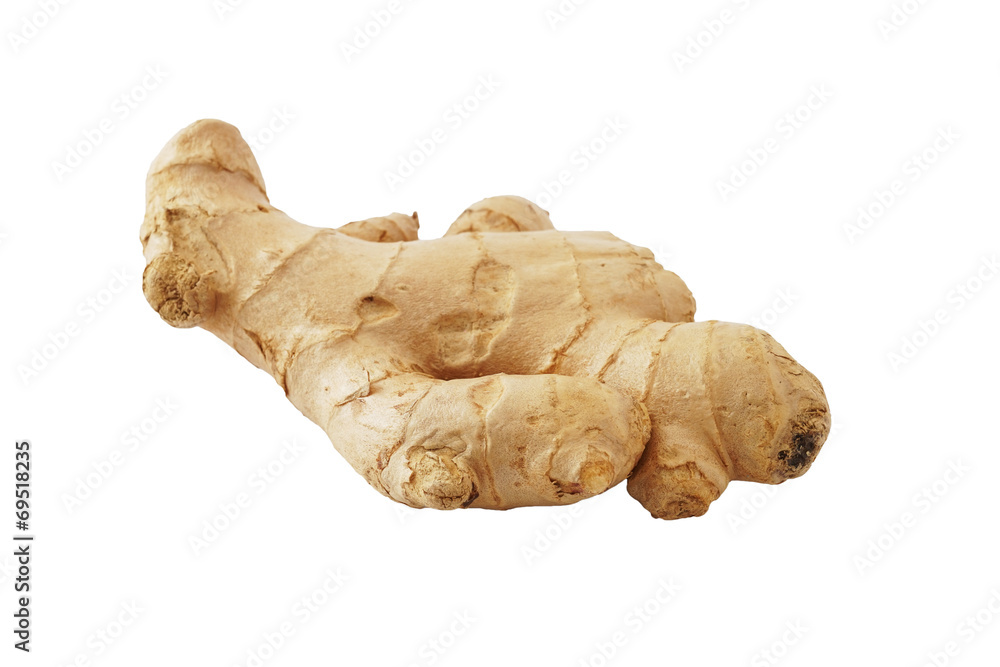 raw ginger isolated on white background raw ginger isolated on white background