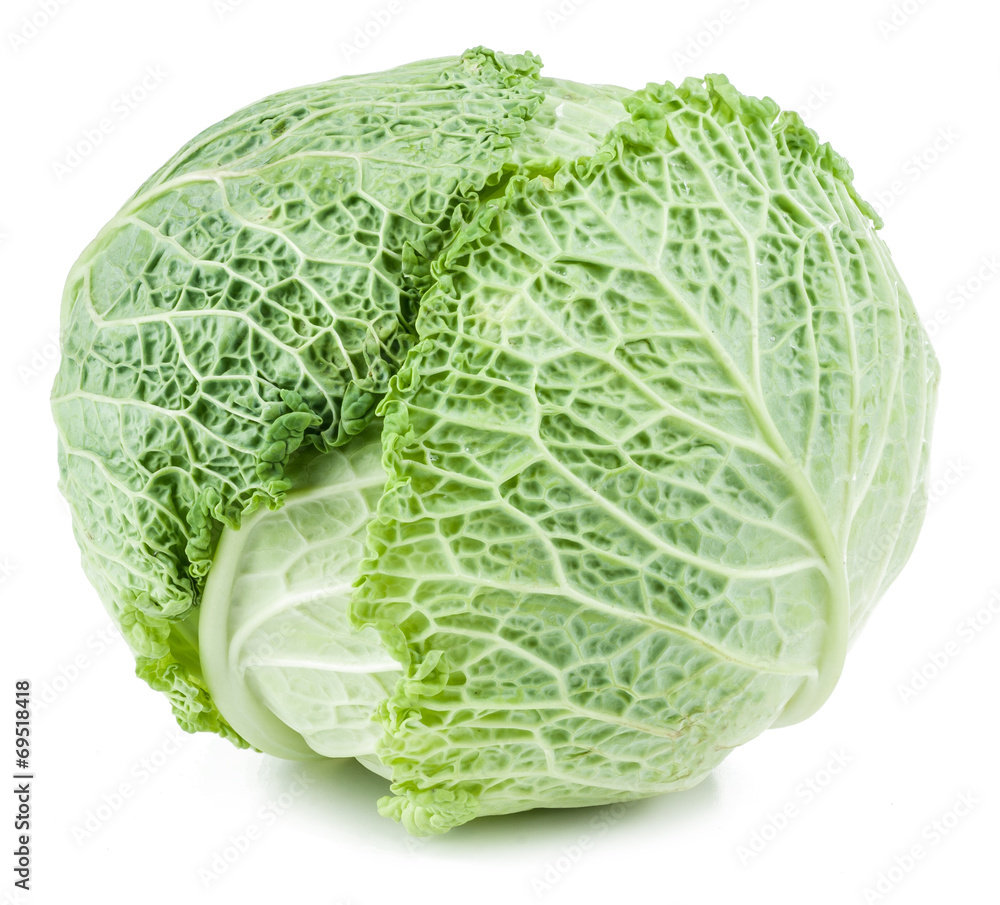 Obraz premium Savoy cabbage isolated