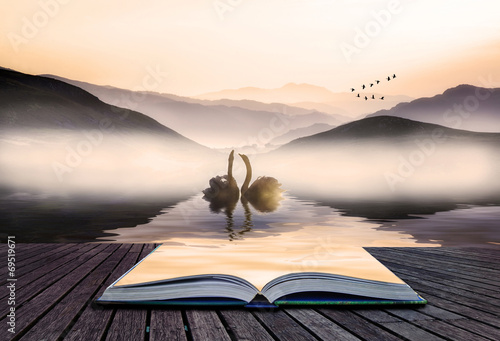 Book concept Beautiful roma...
