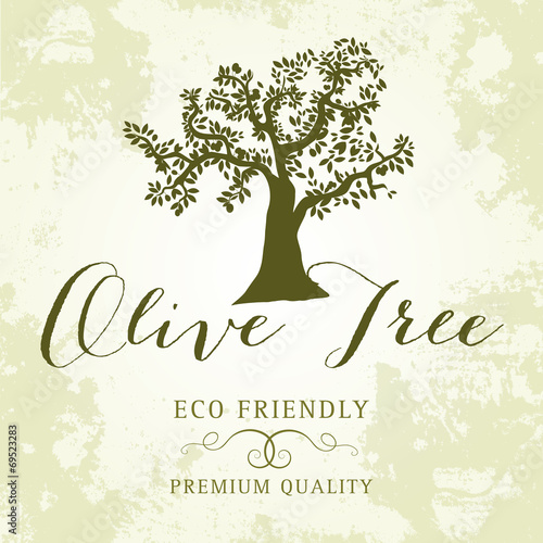 Olive Oil