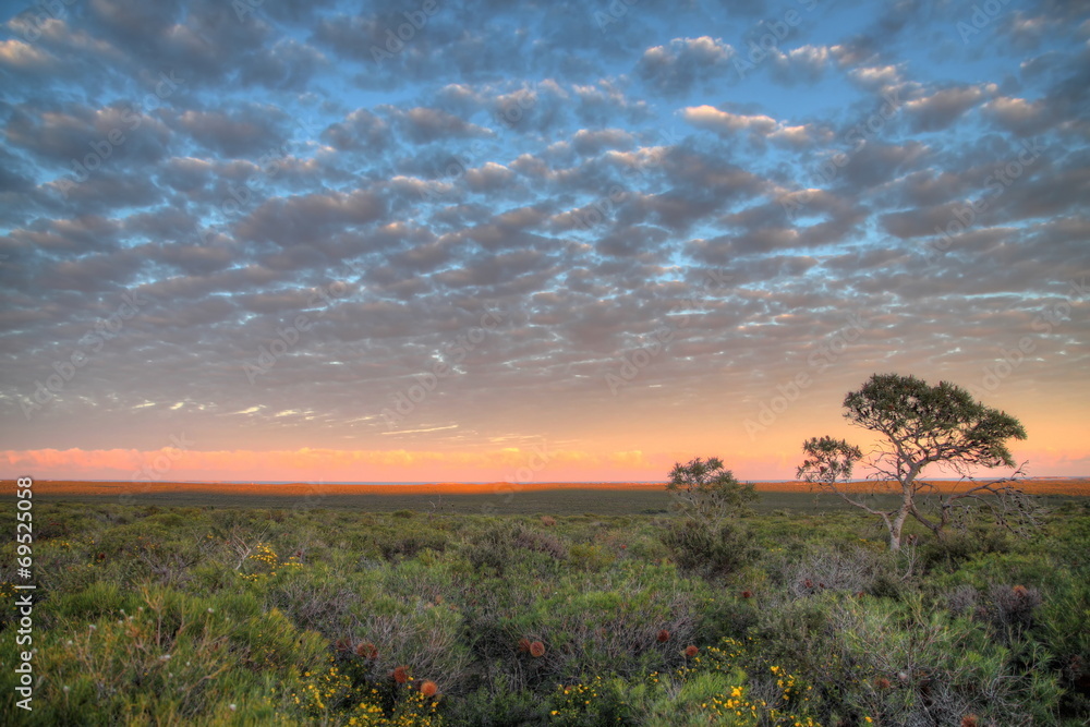 Obraz premium Outback Australia
