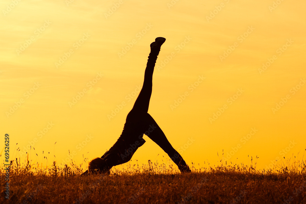 Yoga/One-Legged Downward-Facing Dog Pose
