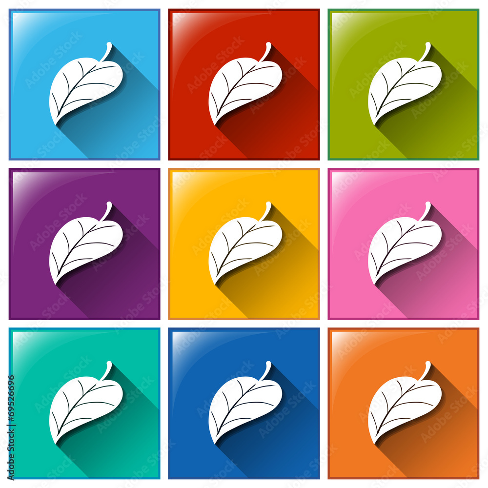Leaf icons Leaf icons