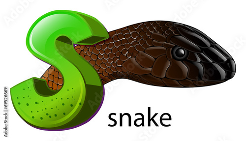 A letter S for snake