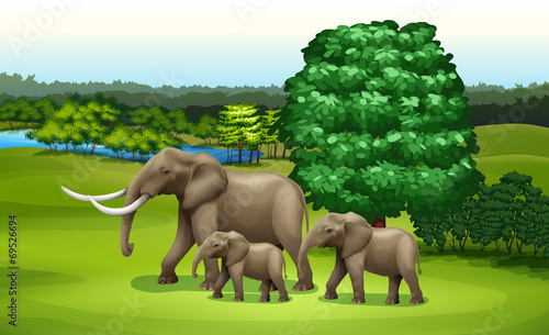 Elephants and the green plants