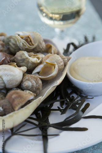 Plateau de Fruits de Mer Bretagne photo