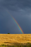 Rainbow at a Storm
