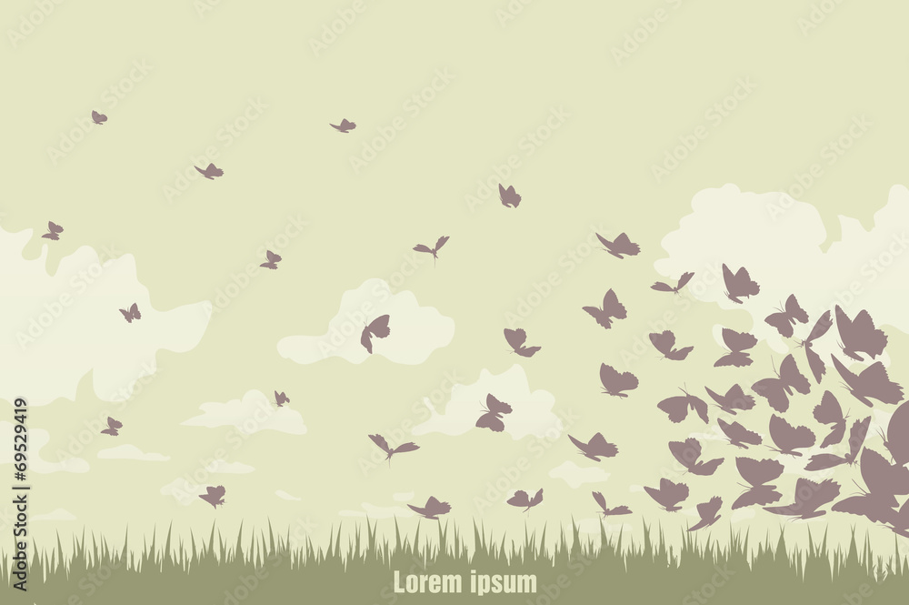 flying butterflies on a green landscape flying butterflies on a green landscape