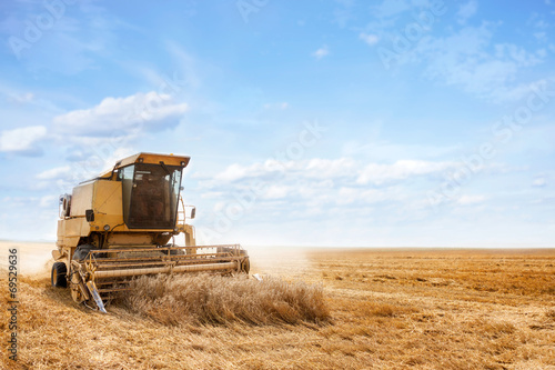 combine harvester on a wheat field