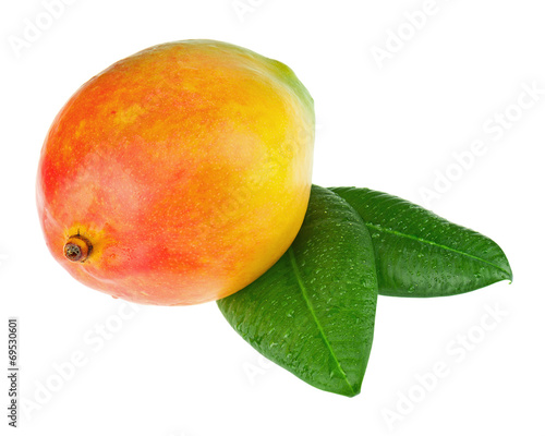 Fresh mango fruit with green leaves isolated on white background