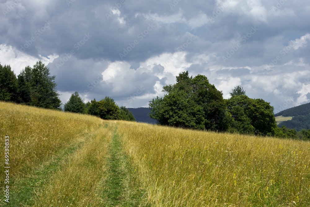 Fototapeta premium Slovakian landscape