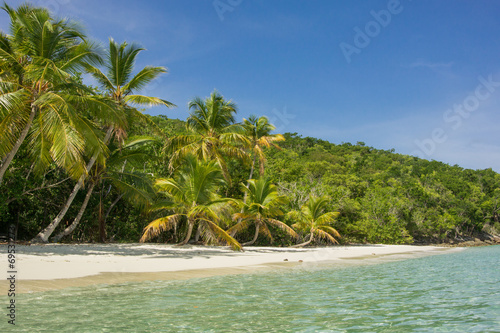 Palm Trees on Caribbean Beach