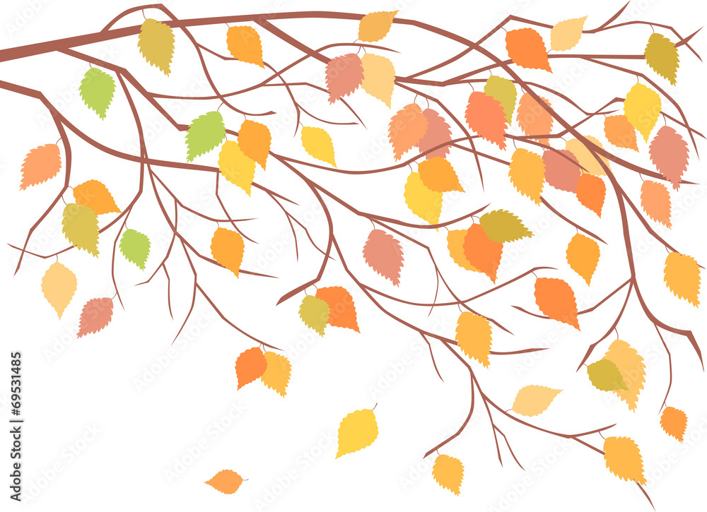 autumn tree branches autumn tree branches