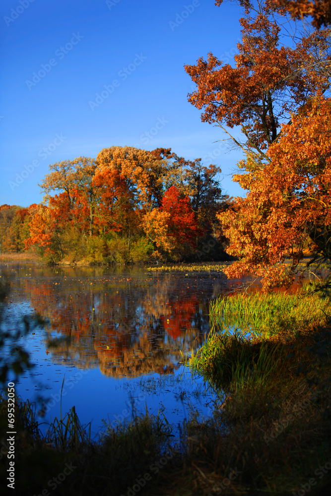 Beautiful autumn landscape