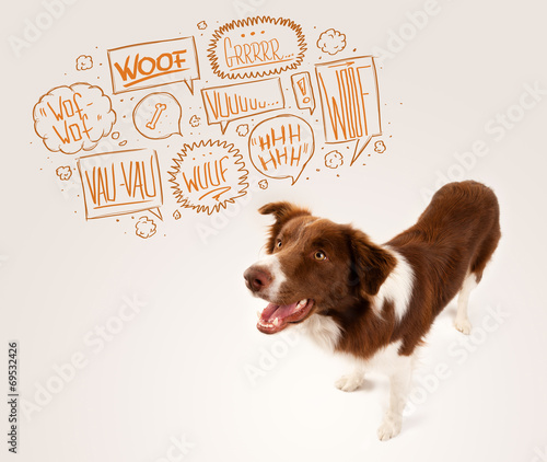 Fototapeta Naklejka Na Ścianę i Meble -  Cute dog with barking bubbles