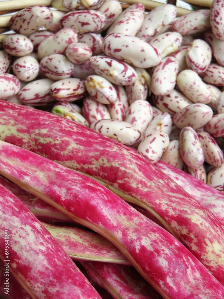 haricots haricots