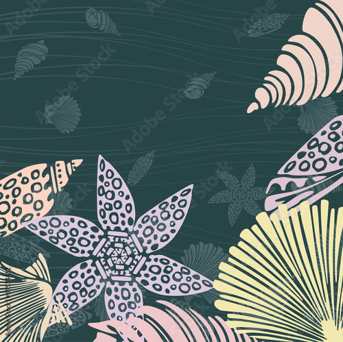 decorative seashells