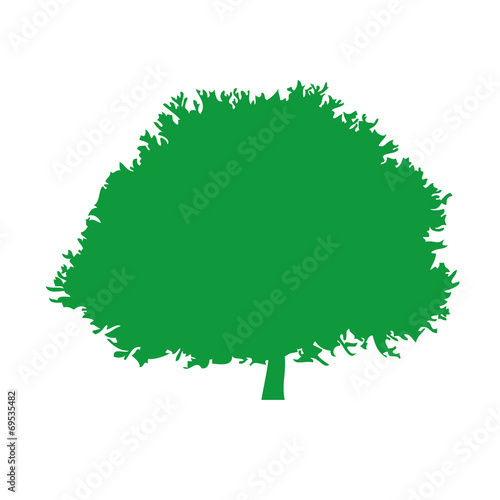 Baum