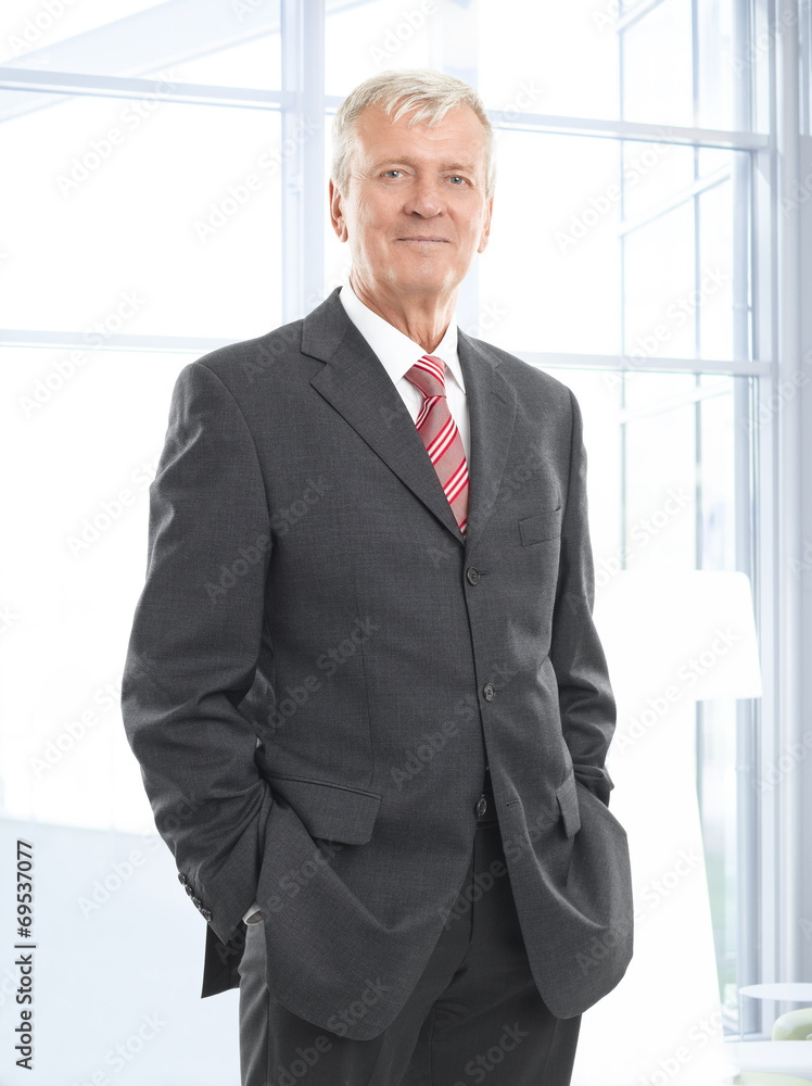 Executive businessman Executive businessman