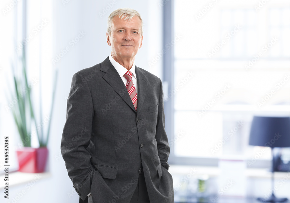 Executive businessman Executive businessman