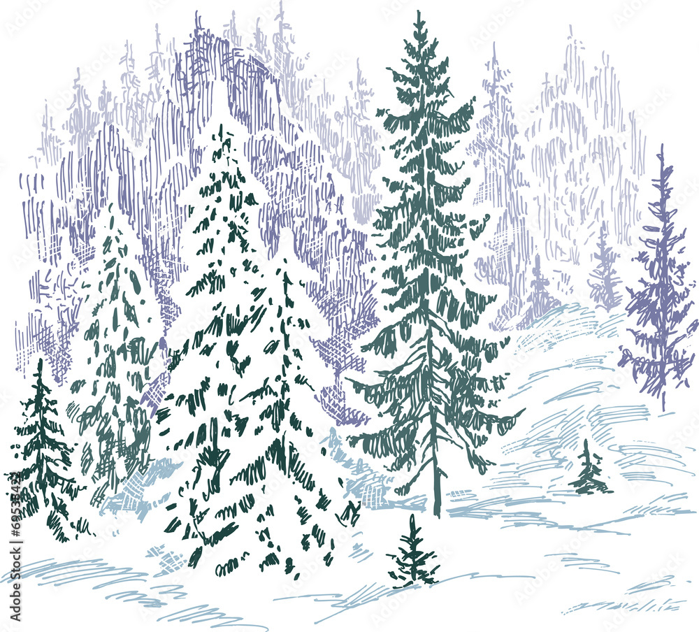 Fototapeta premium frozen forest