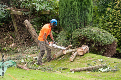 Woodcutter