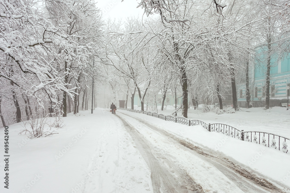 winter city park in morning winter city park in morning