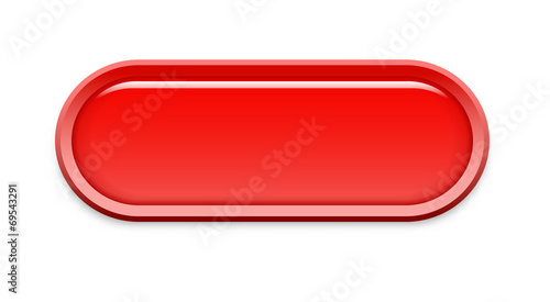the oval glossy button