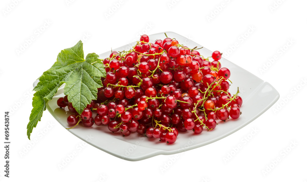 Red currant Red currant