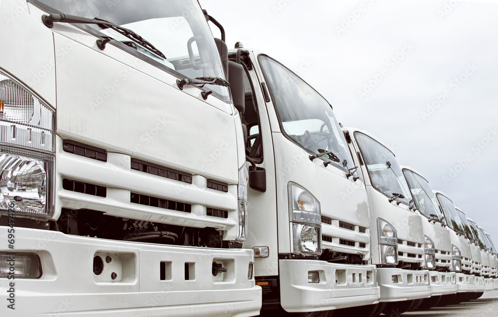 Naklejka premium Delivery Trucks