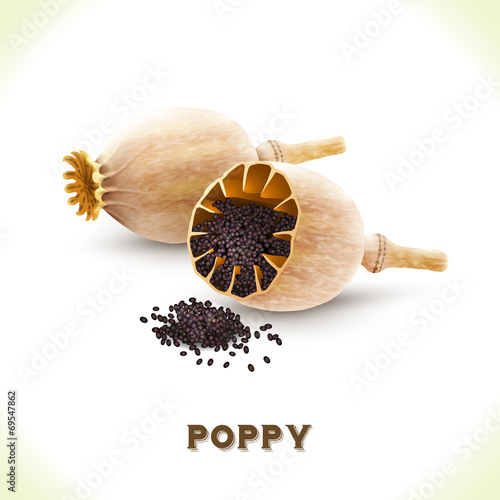 Poppy seed isolated on white