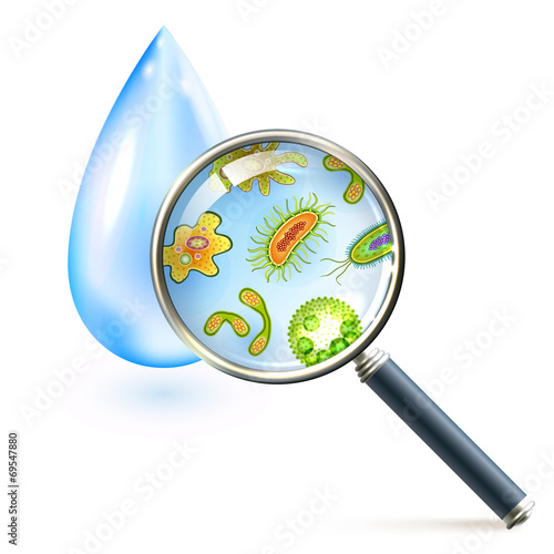 Magnifier bacteria and virus cells