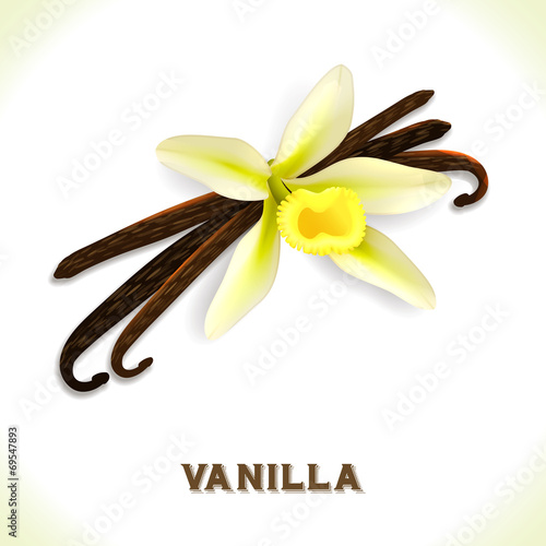 Vanilla pod isolated on white