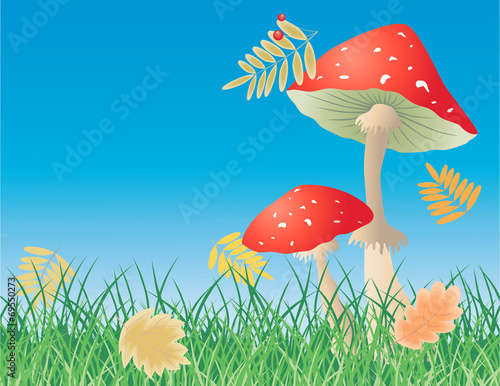 red mushrooms