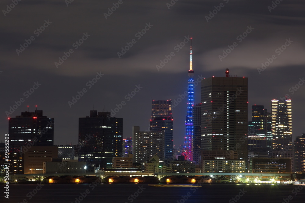 Fototapeta premium View of Tokyo Tower and Tokyo bay at night time