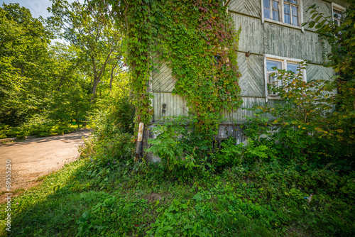 Old house covered with ivy. Selective focus on house.