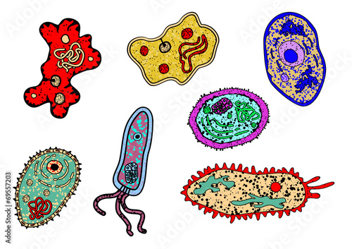 Cartoon ameba or microbial lifeforms