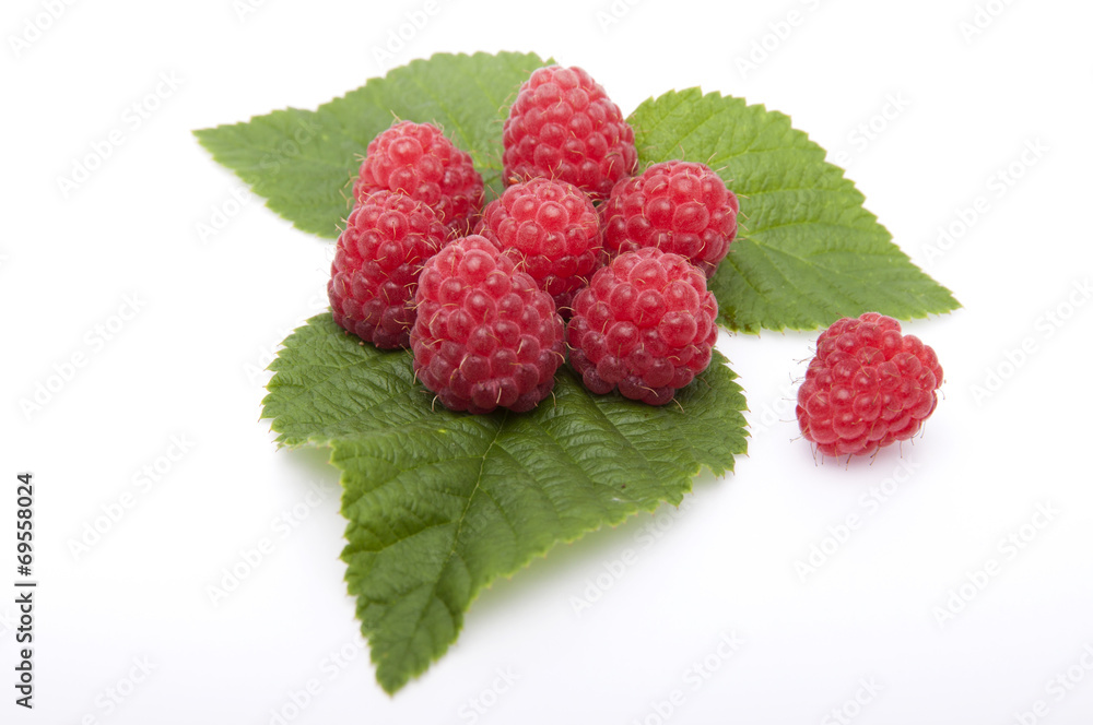 Raspberries are on the leaves raspberries on a white background. Raspberries are on the leaves raspberries on a white background.